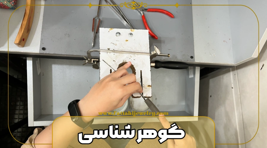 گوهر شناسی